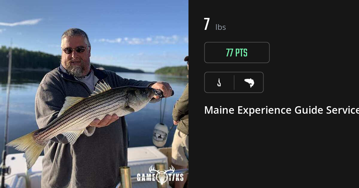 Saltwater fish harvest on Gametiks
