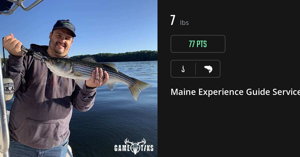 Saltwater fish harvest on Gametiks