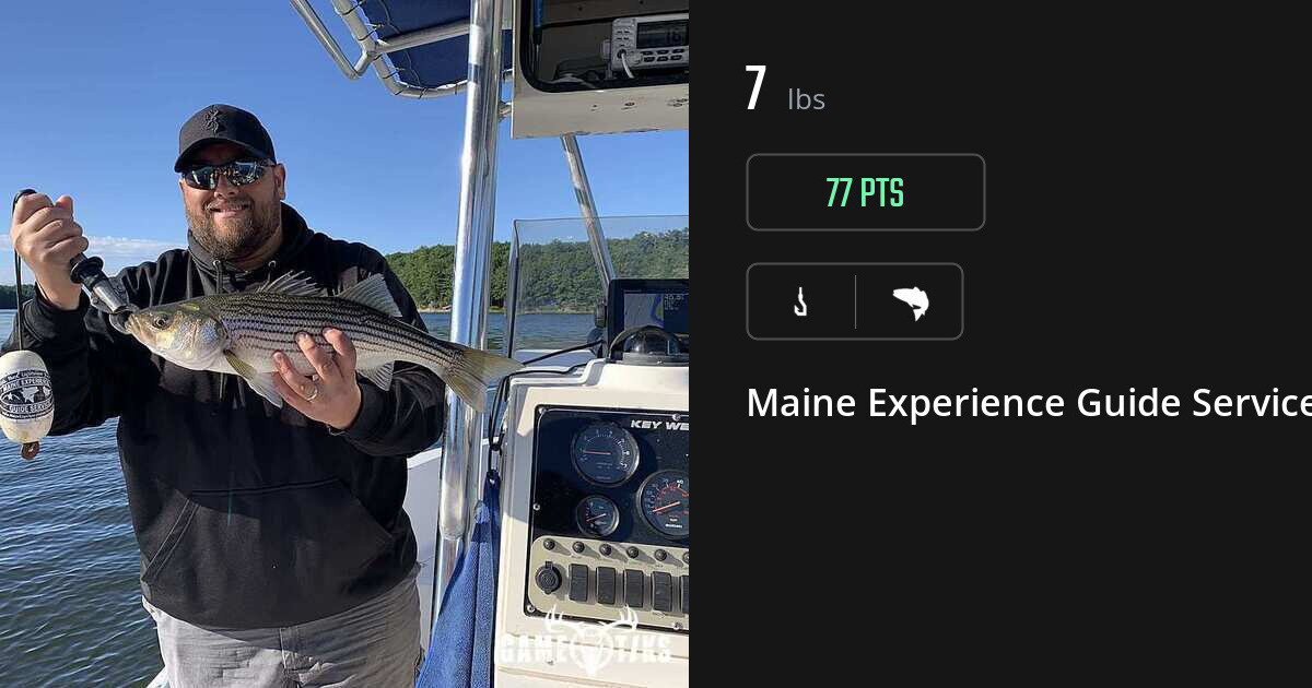 Saltwater fish harvest on Gametiks