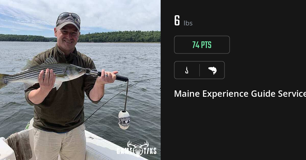 Saltwater fish harvest on Gametiks