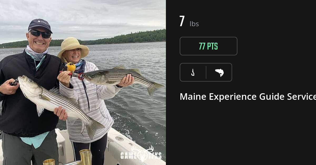 Saltwater fish harvest on Gametiks