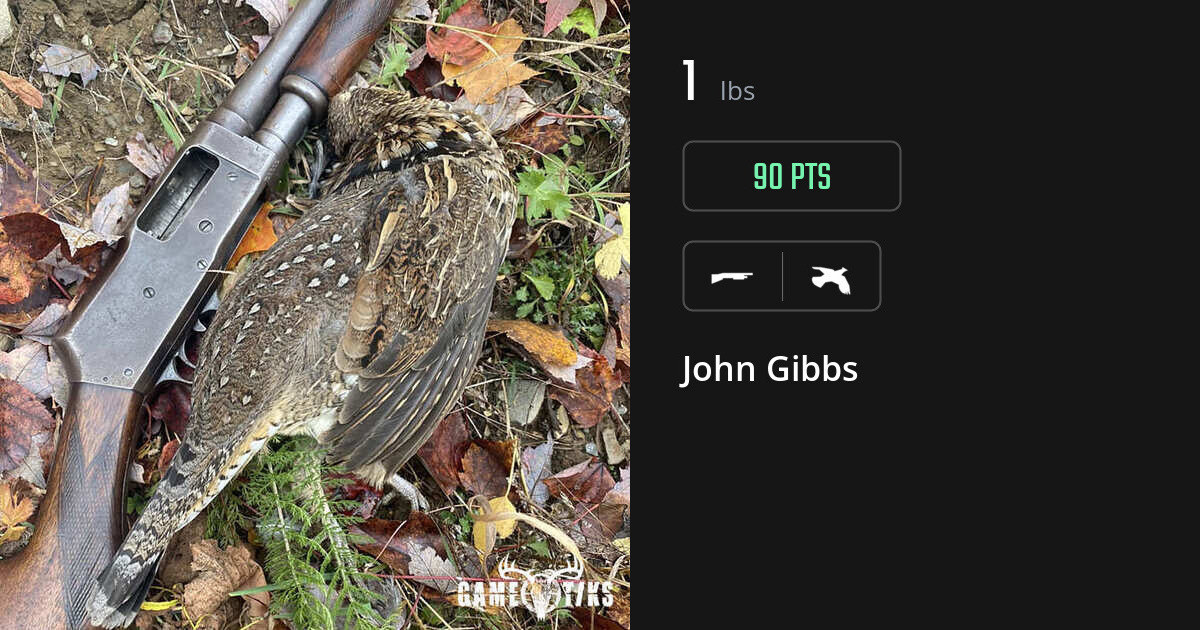 Upland bird harvest on Gametiks