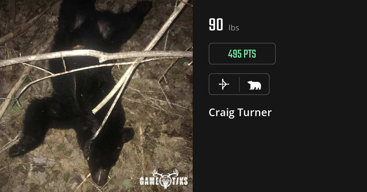 bear harvest by Craig Turner