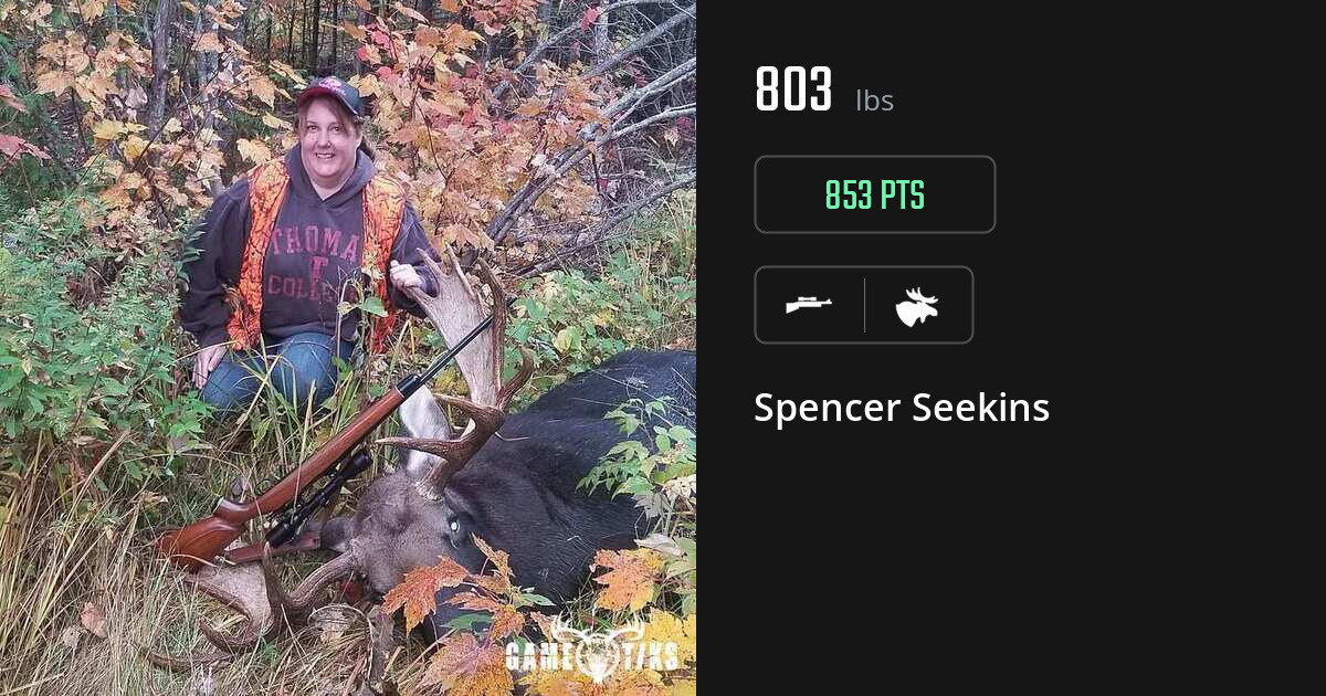 moose harvest by Spencer Seekins