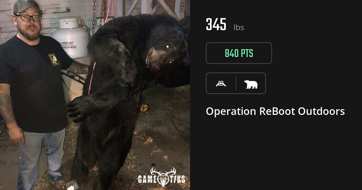 Bear harvest on Gametiks