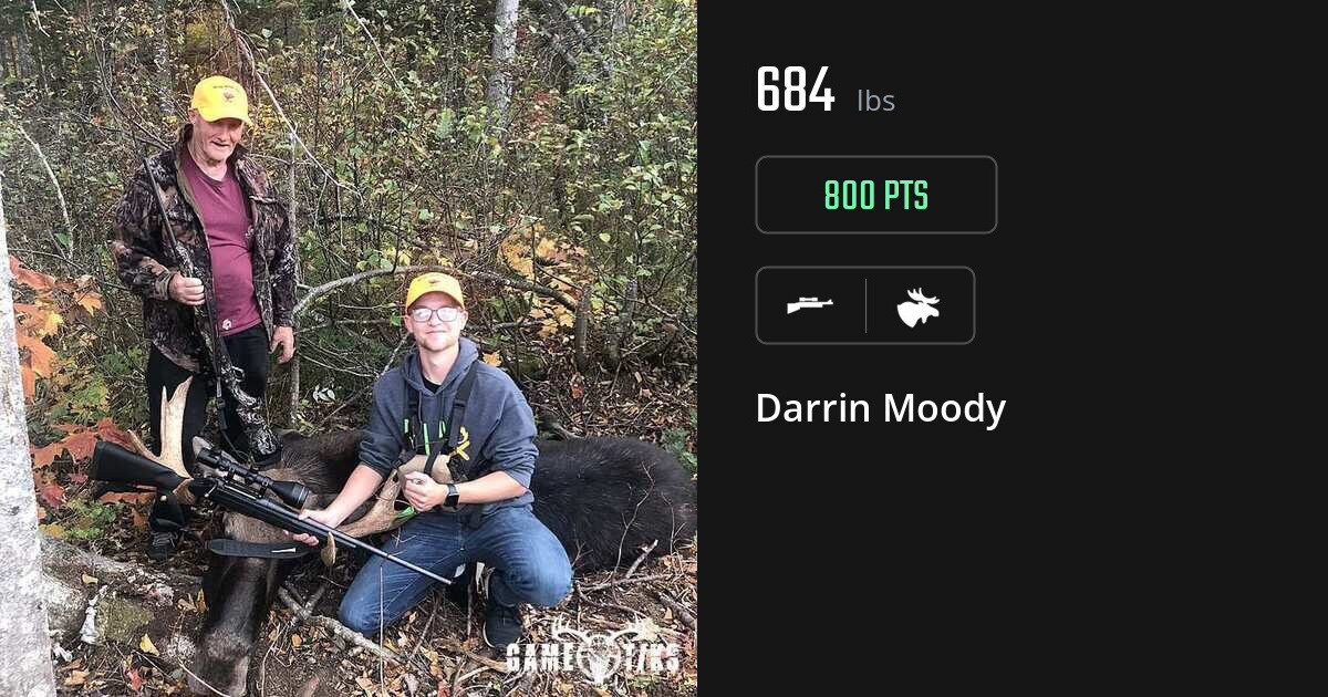moose harvest by Darrin Moody