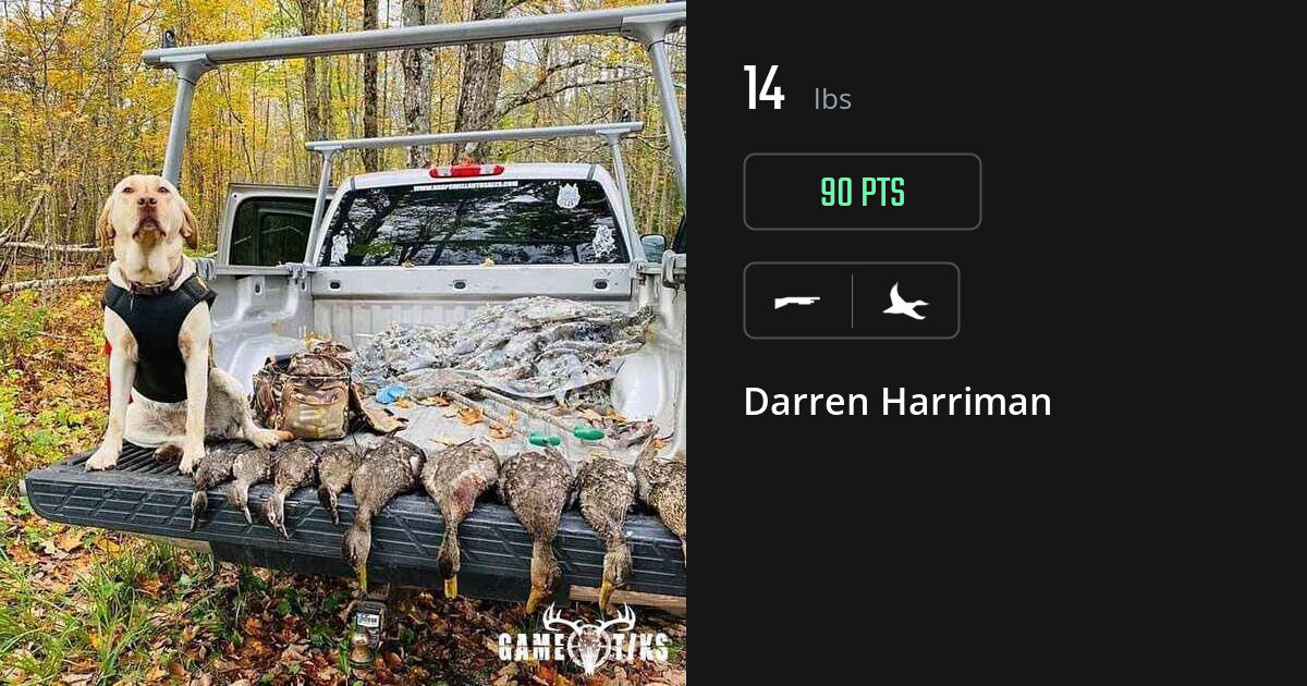 Waterfowl harvest on Gametiks