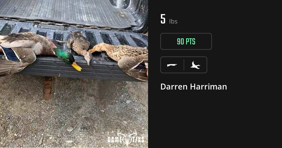 Waterfowl harvest on Gametiks