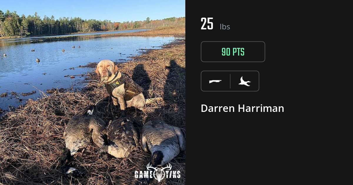 Waterfowl harvest on Gametiks