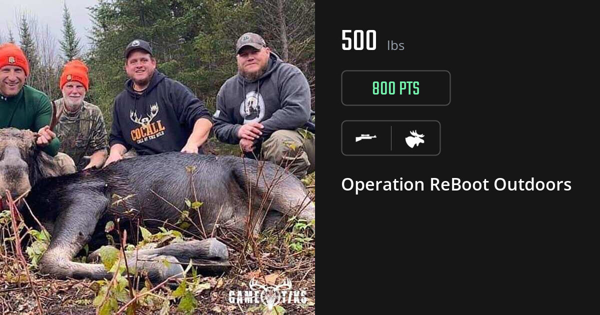 Moose harvest on Gametiks