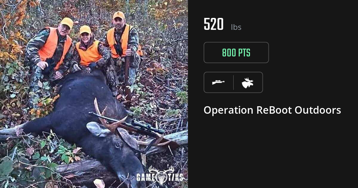 Moose harvest on Gametiks