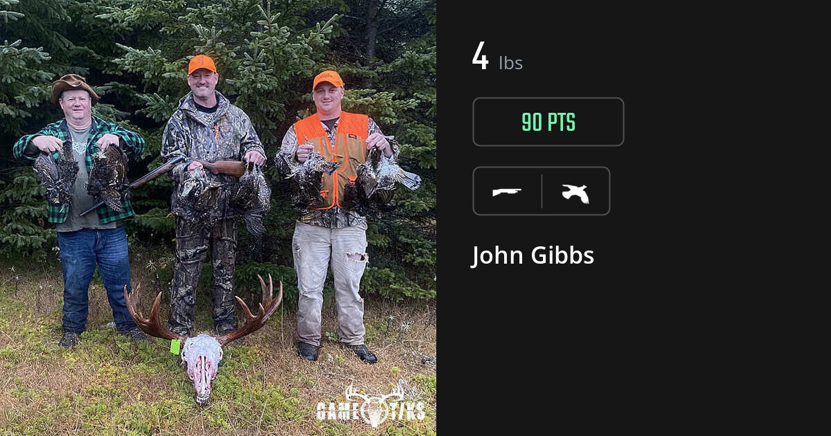 Upland bird harvest on Gametiks