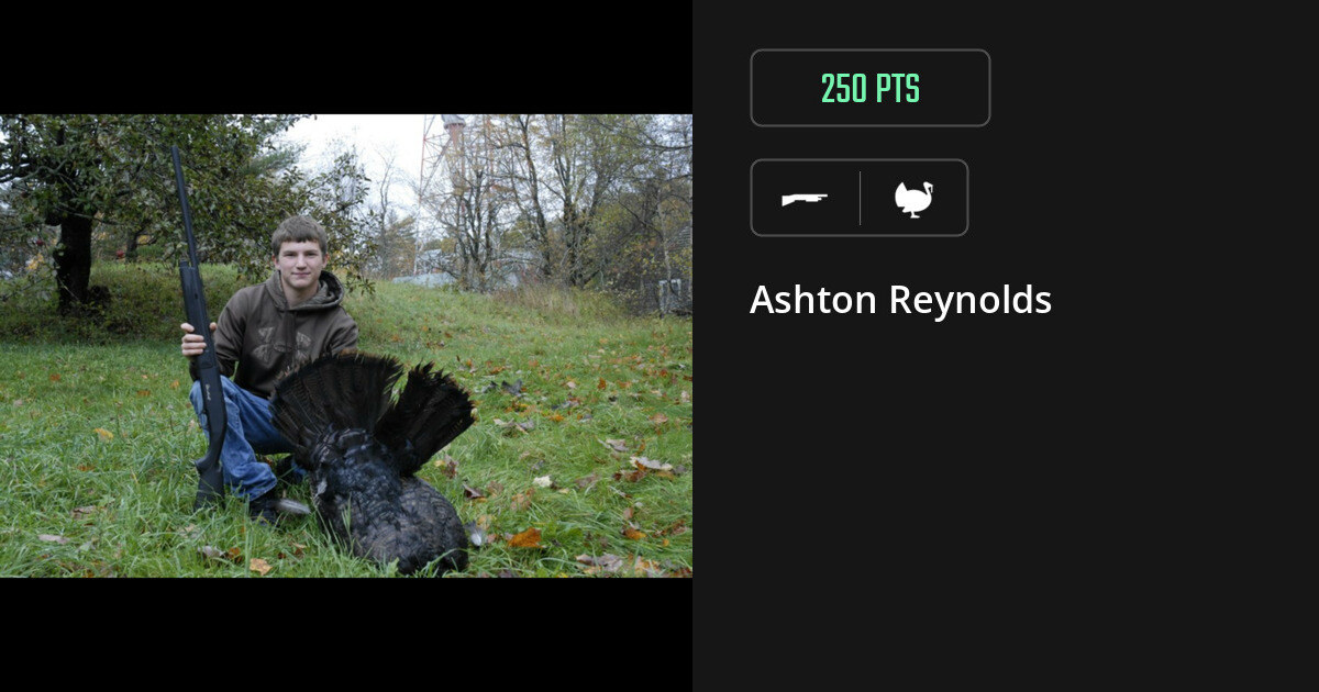 turkey harvest by Ashton Reynolds