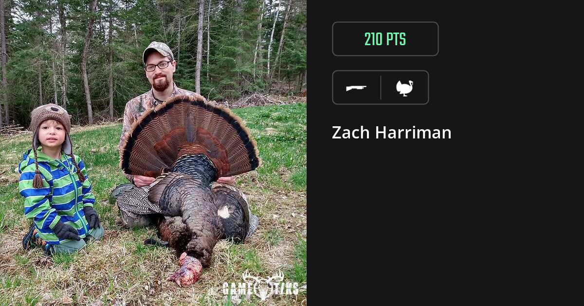 Turkey harvest on Gametiks