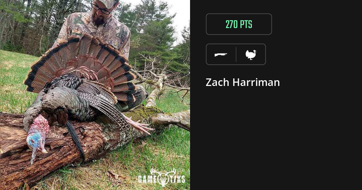 Turkey harvest on Gametiks