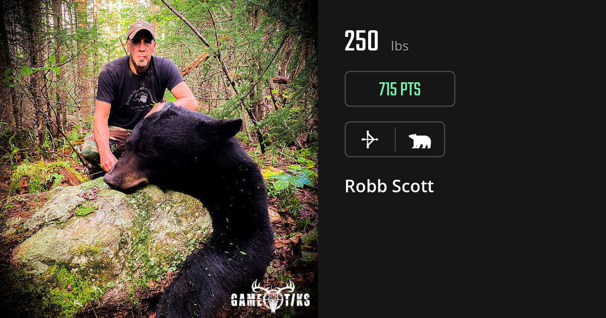 bear harvest by Robb Scott