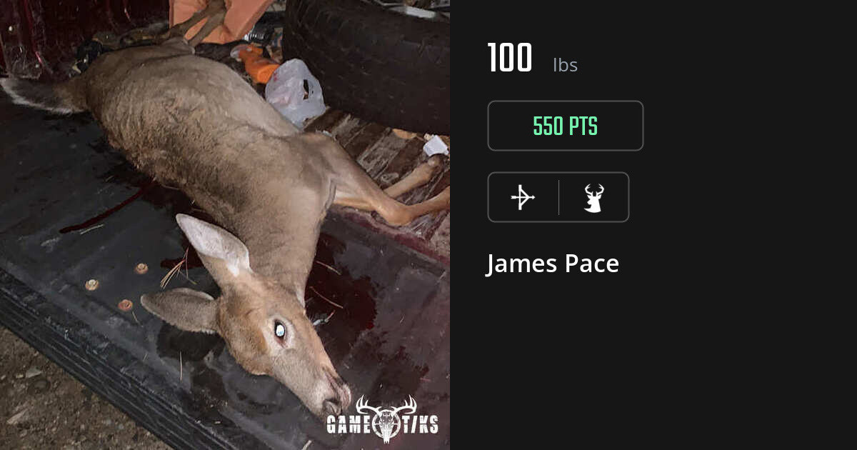 deer harvest by James Pace