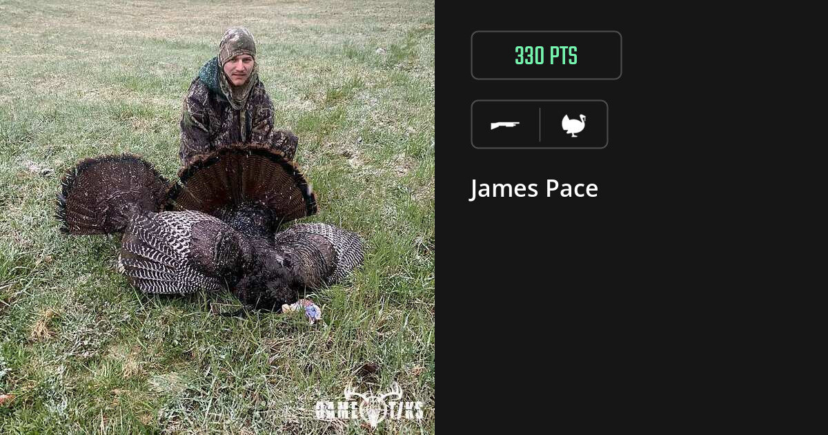 turkey harvest by James Pace