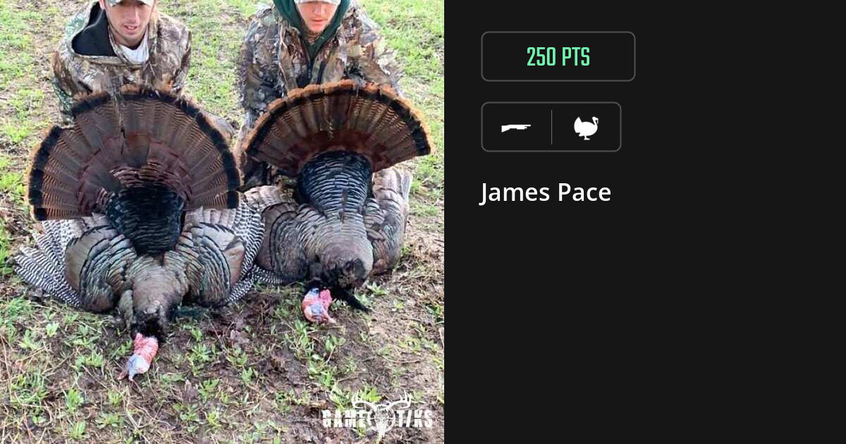 turkey harvest by James Pace