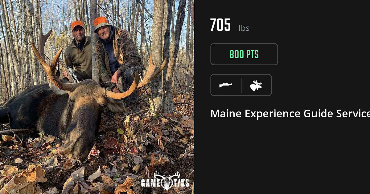 Moose harvest on Gametiks