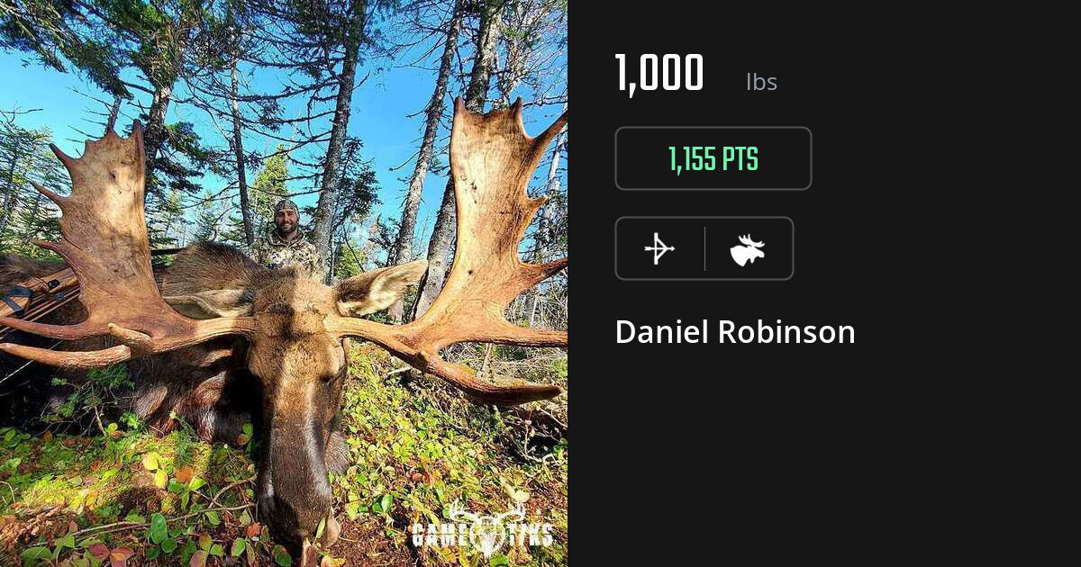 Moose harvest on Gametiks