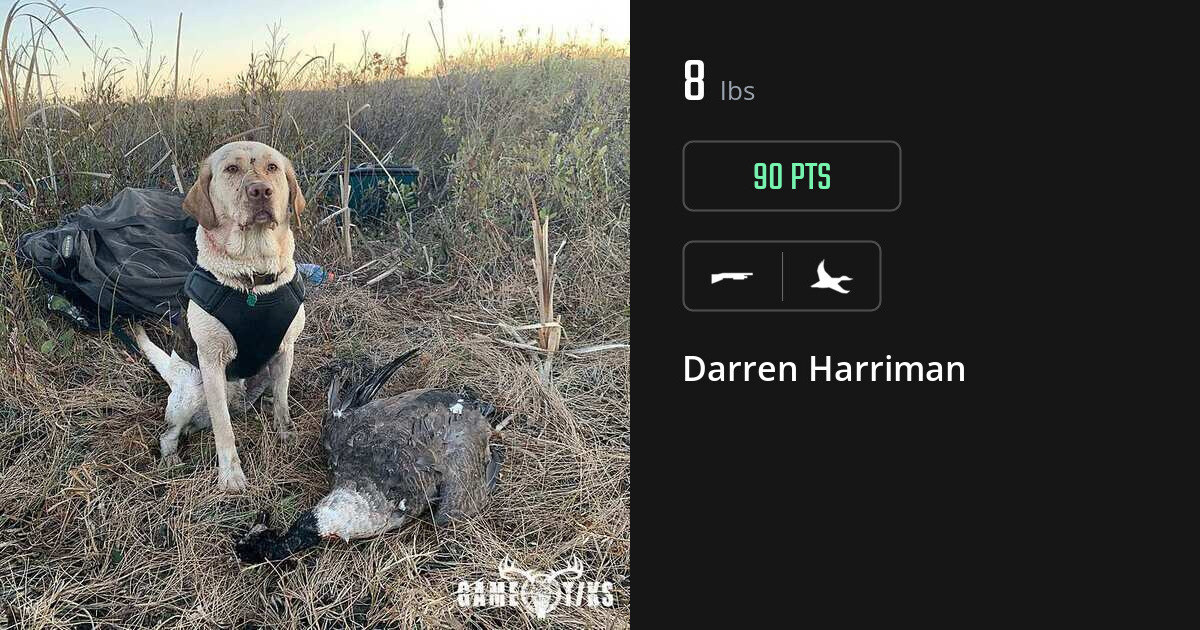 Waterfowl harvest on Gametiks
