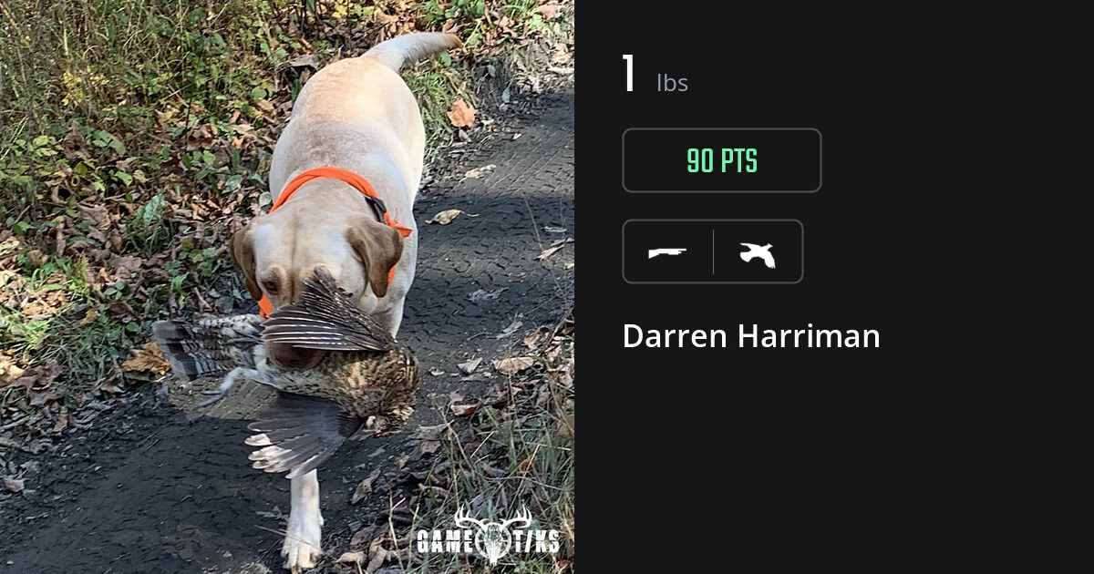 Upland bird harvest on Gametiks