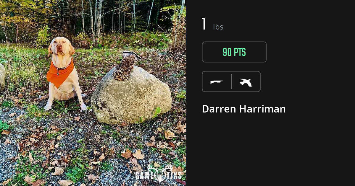 Upland bird harvest on Gametiks