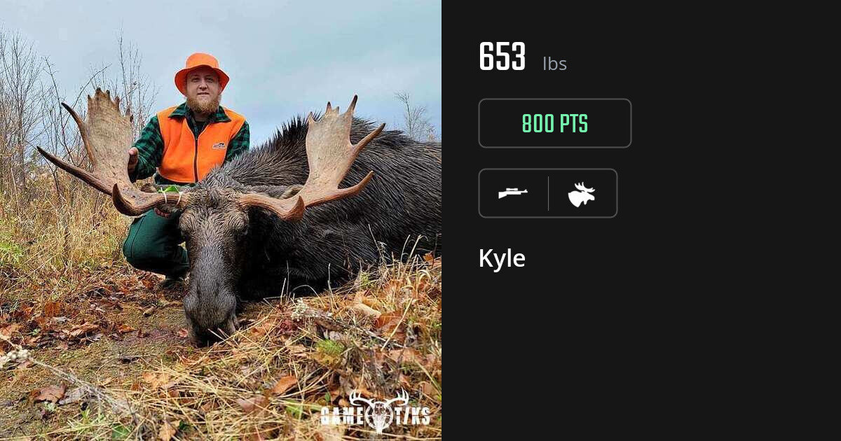 Moose harvest on Gametiks