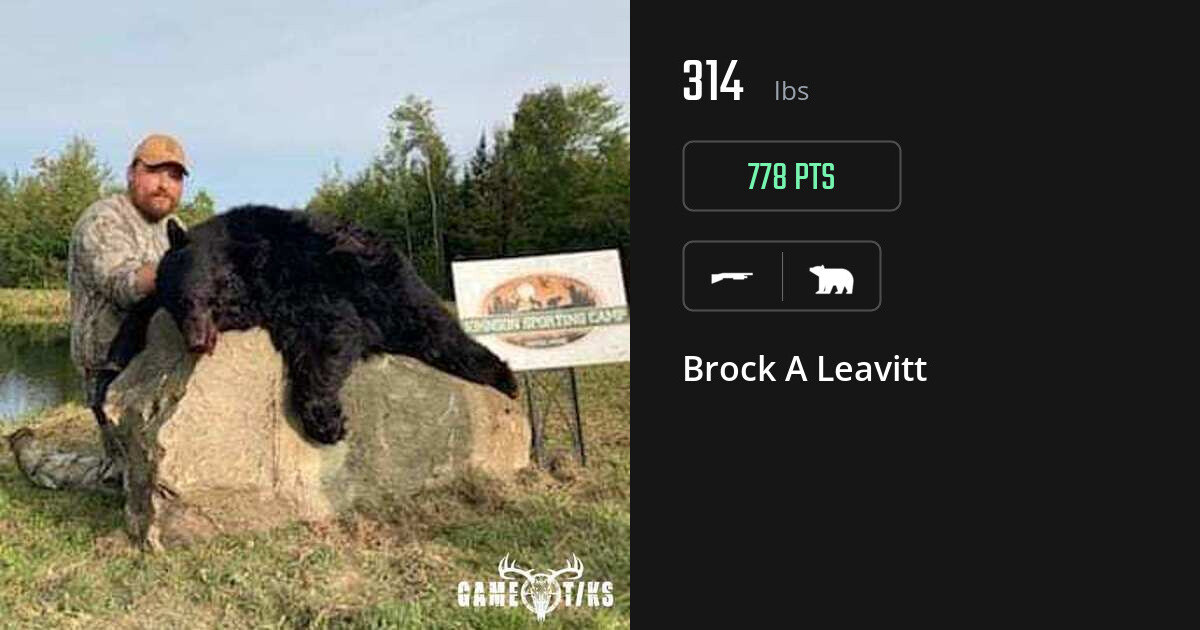 bear harvest by Brock A Leavitt