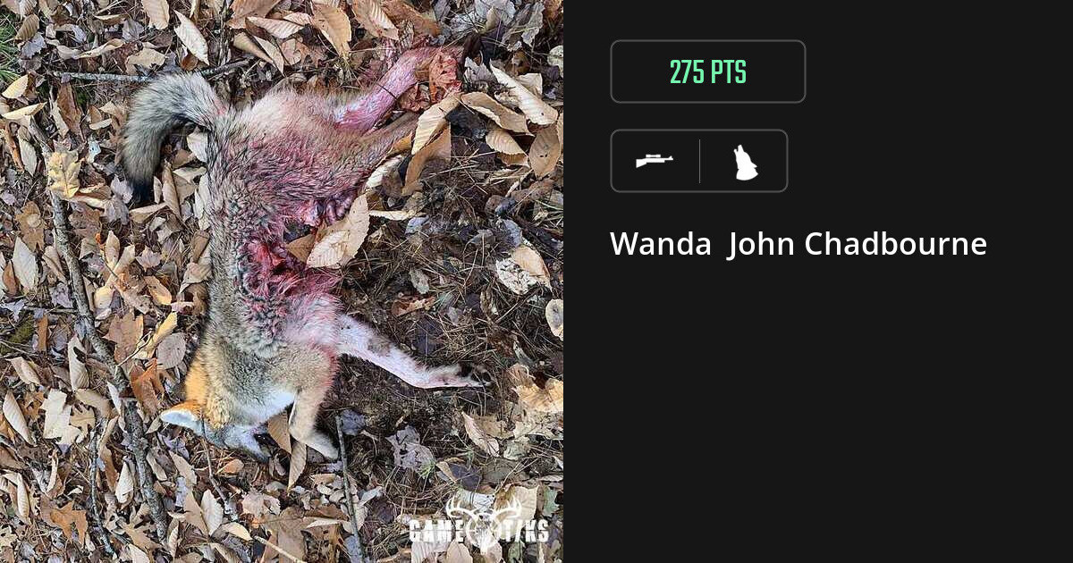canine harvest by Wanda John Chadbourne