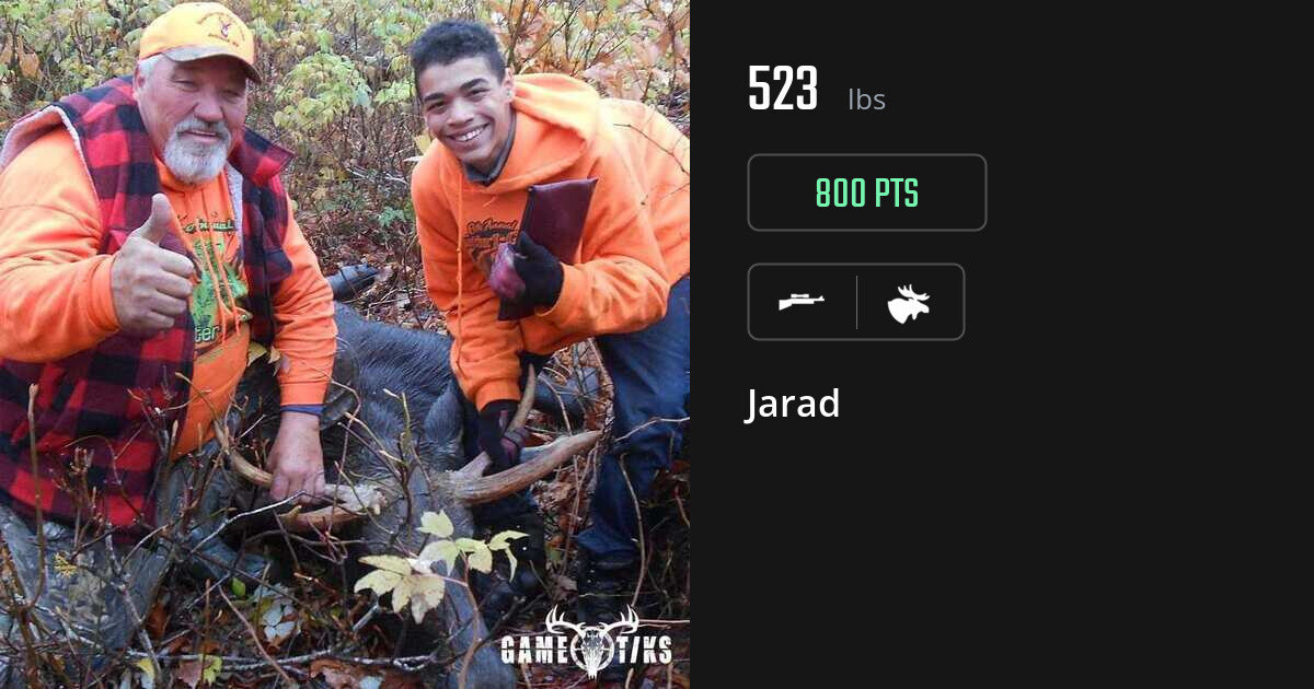 moose harvest by Jarad
