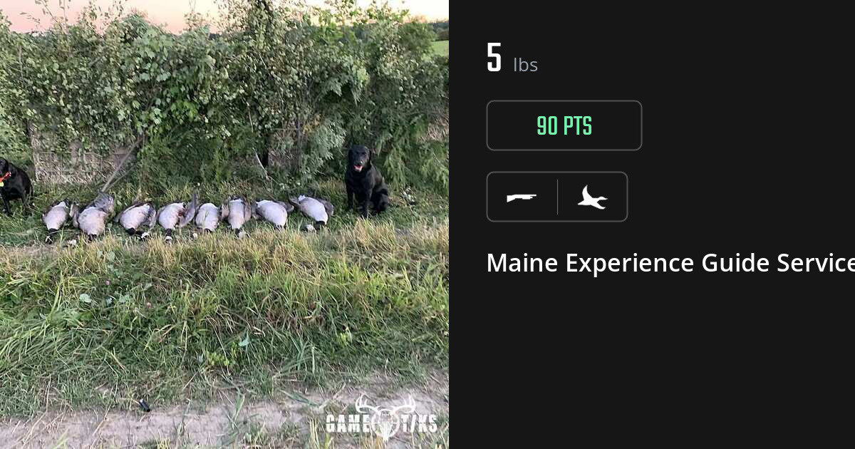 Waterfowl harvest on Gametiks