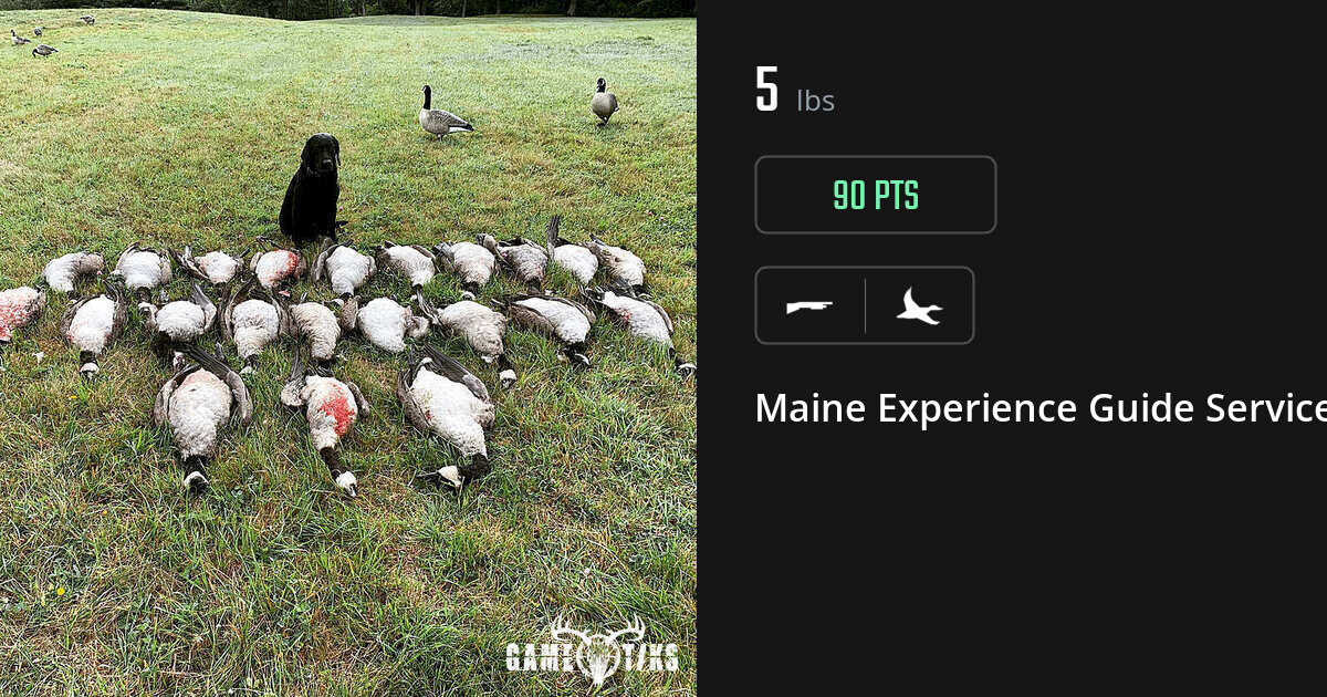 Waterfowl harvest on Gametiks