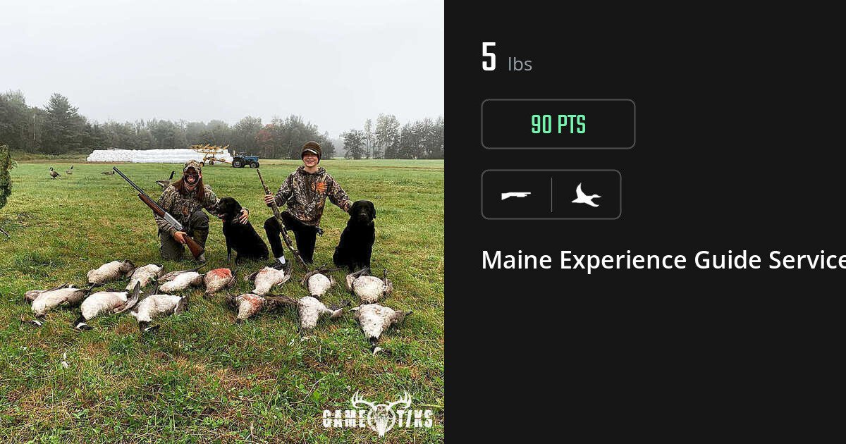Waterfowl harvest on Gametiks