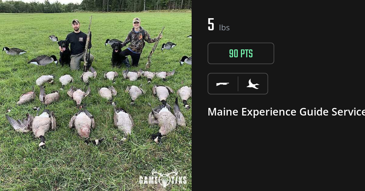 Waterfowl harvest on Gametiks