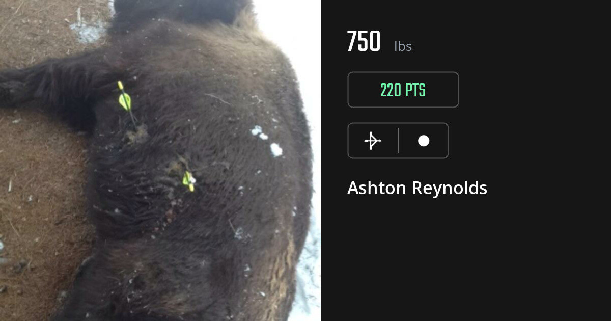 miscellaneous harvest by Ashton Reynolds