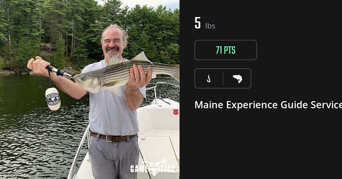 Saltwater fish harvest on Gametiks