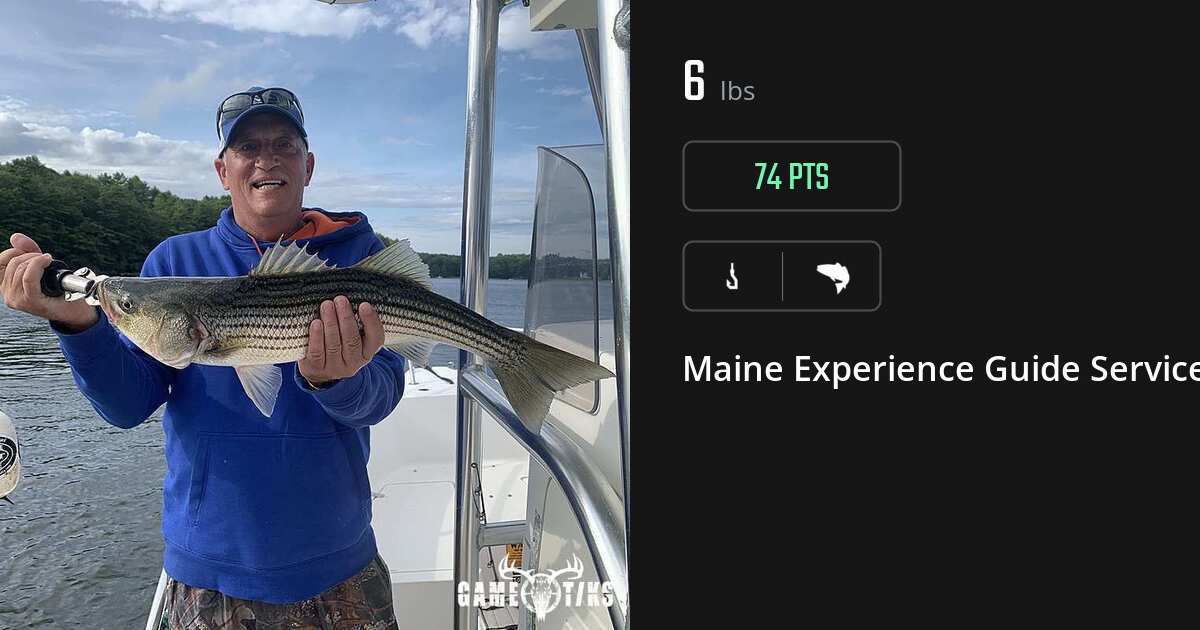 Saltwater fish harvest on Gametiks