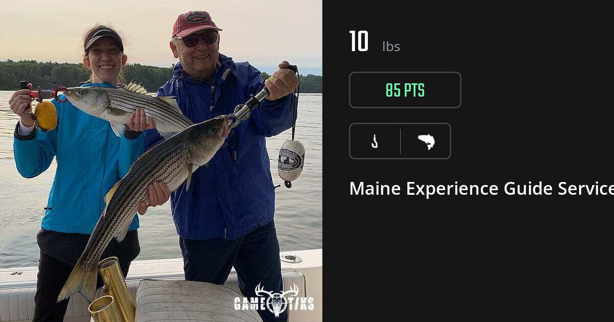 Saltwater fish harvest on Gametiks