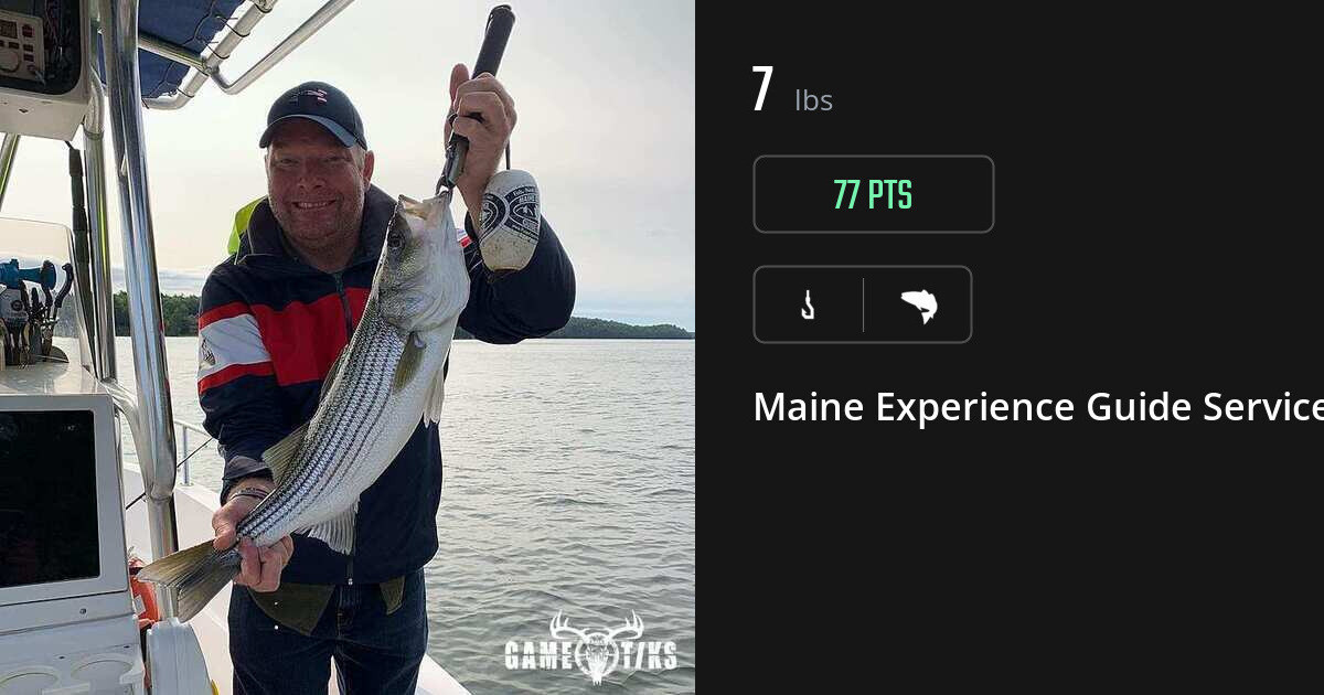 Saltwater fish harvest on Gametiks