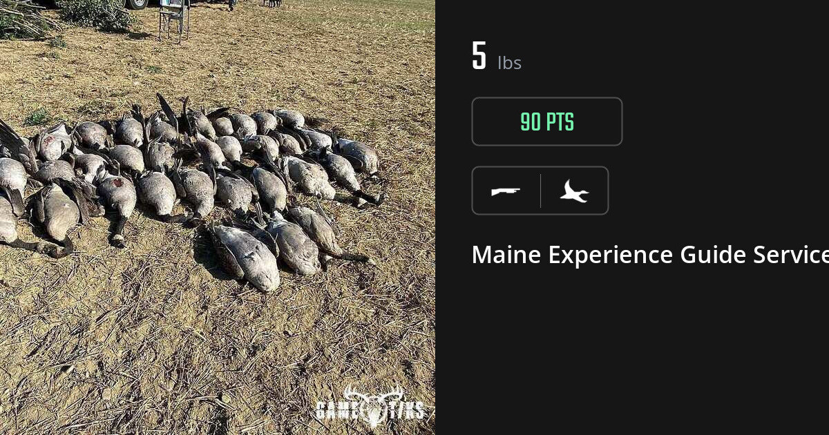 Waterfowl harvest on Gametiks