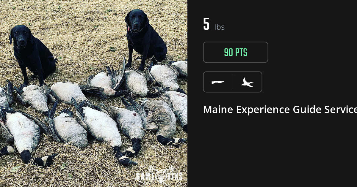 Waterfowl harvest on Gametiks