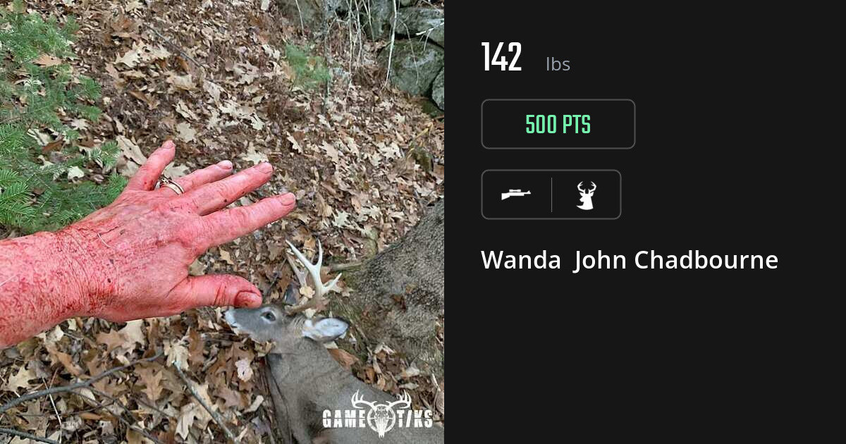 deer harvest by Wanda John Chadbourne