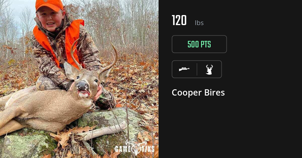 deer harvest by Cooper Bires