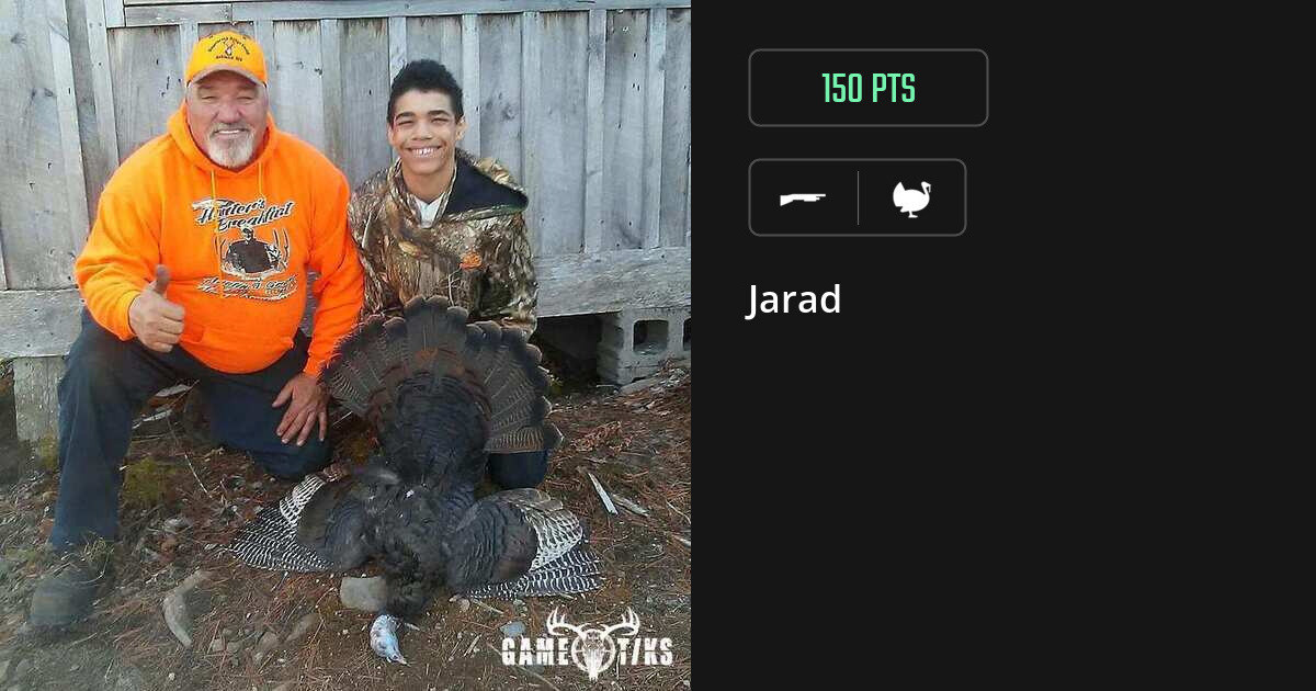 turkey harvest by Jarad