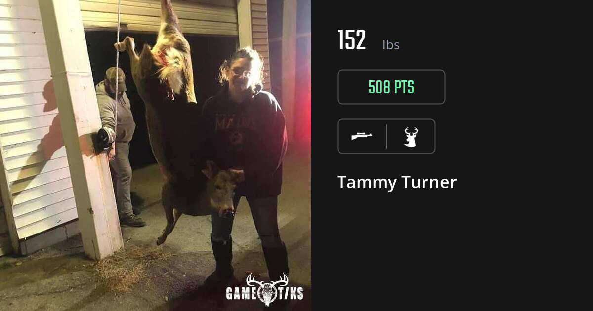 deer harvest by Tammy Turner