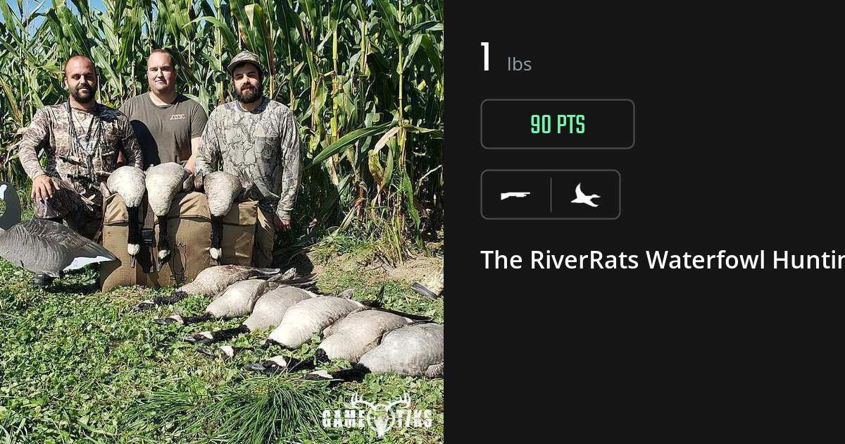 Waterfowl harvest on Gametiks