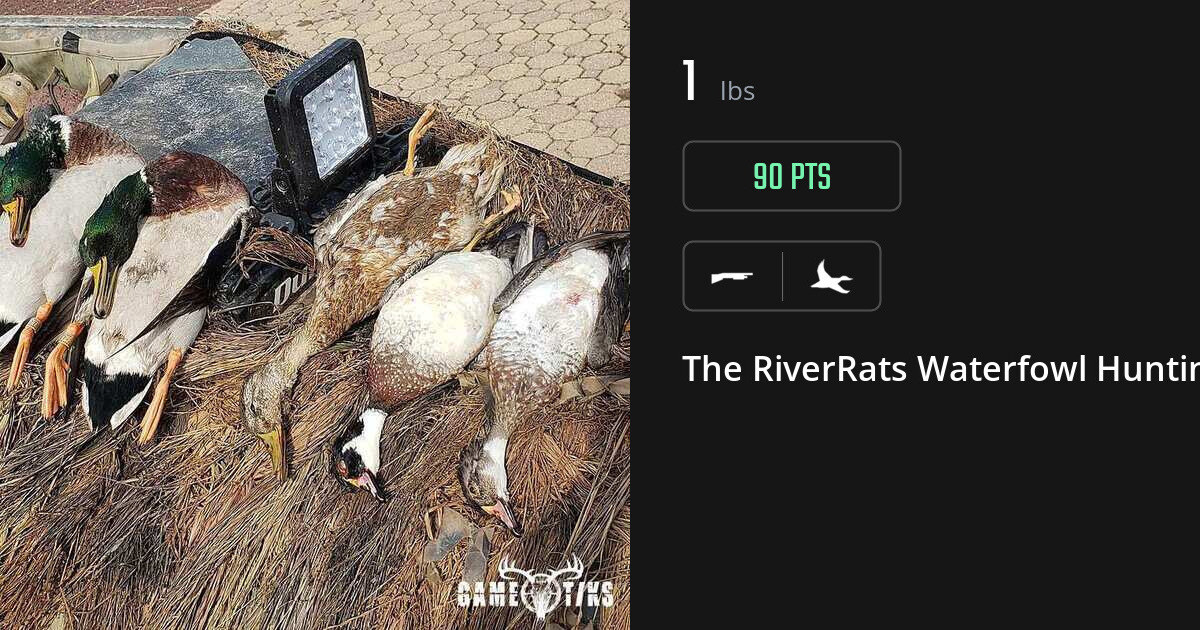 Waterfowl harvest on Gametiks