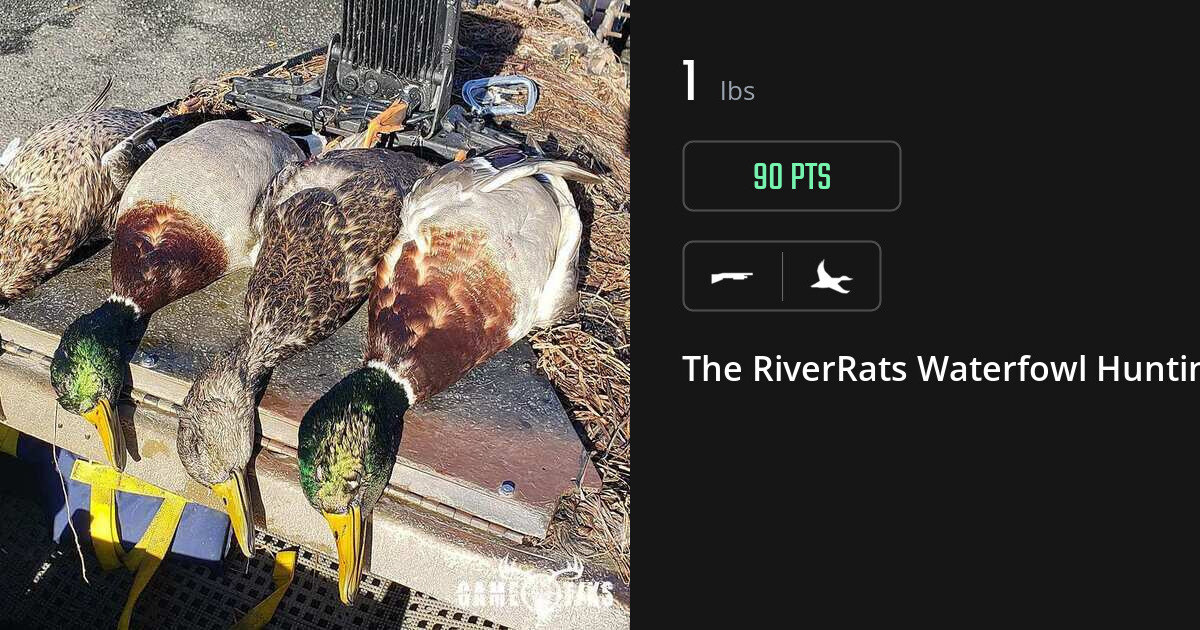 Waterfowl harvest on Gametiks